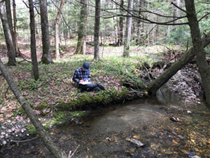 Student working in nature